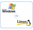 Hosting Windows vs Linux: ¿Qué plataforma elegir?