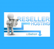 ¿Qué es el negocio de Reseller Hosting?