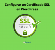 Cómo configurar SSL en WordPress